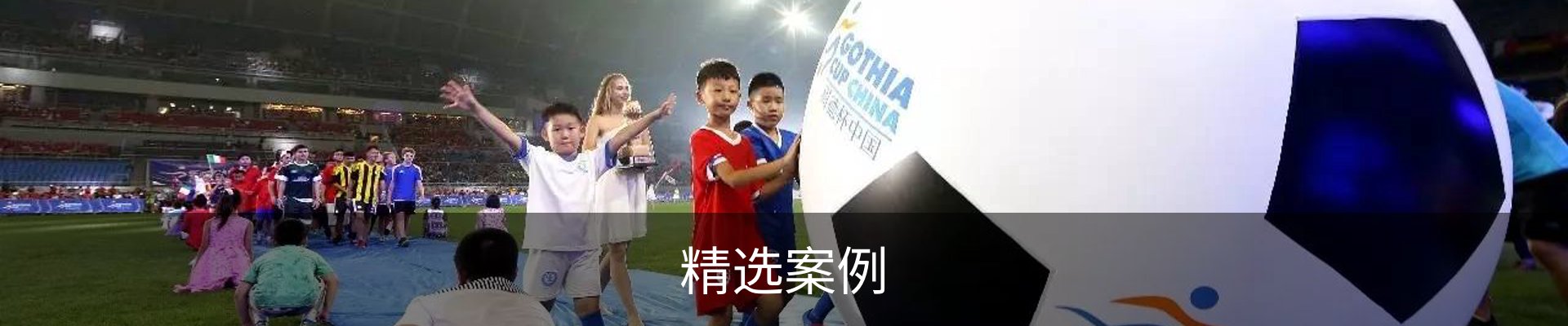精选案例